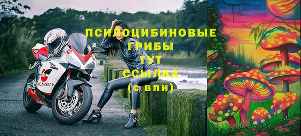 ALPHA-PVP Осинники