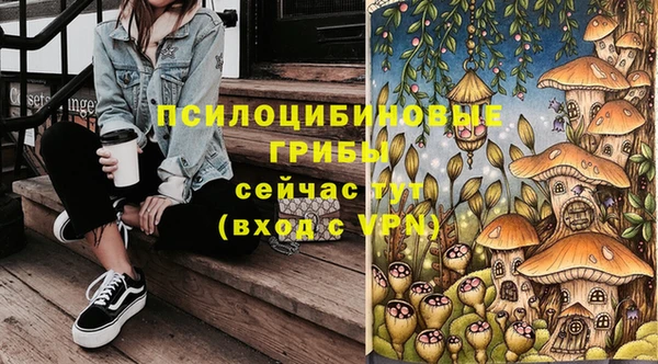 мяу мяу мука Абдулино