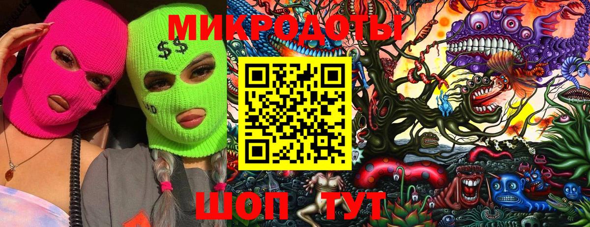 Псилоцибиновые грибы прущие грибы Тавда